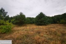 Działka budowlana Miedzichowo, ul. Szparagowa