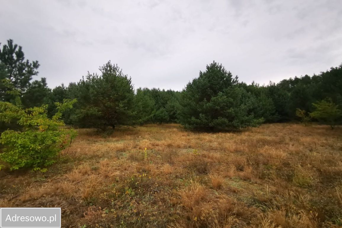 Działka budowlana Miedzichowo, ul. Szparagowa