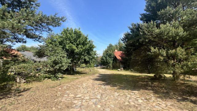 Działka rekreacyjna Osieczna. Zdjęcie 9