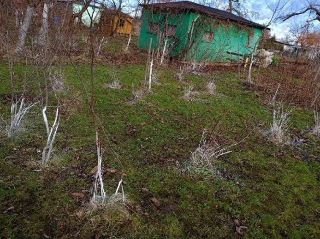 Działka rod Gdańsk Olszynka, ul. Olsztyńska. Zdjęcie 1