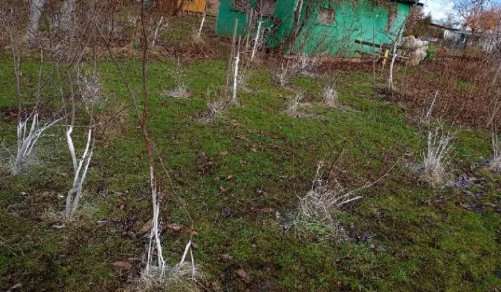 Działka rod Gdańsk Olszynka, ul. Olsztyńska