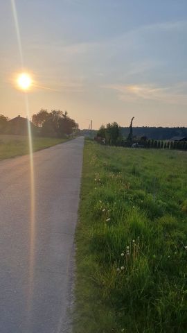 Działka inwestycyjna Sarbia. Zdjęcie 1