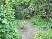 Działka rolno-budowlana Blizne Jasińskiego, ul. Tadeusza Kościuszki. Zdjęcie 3