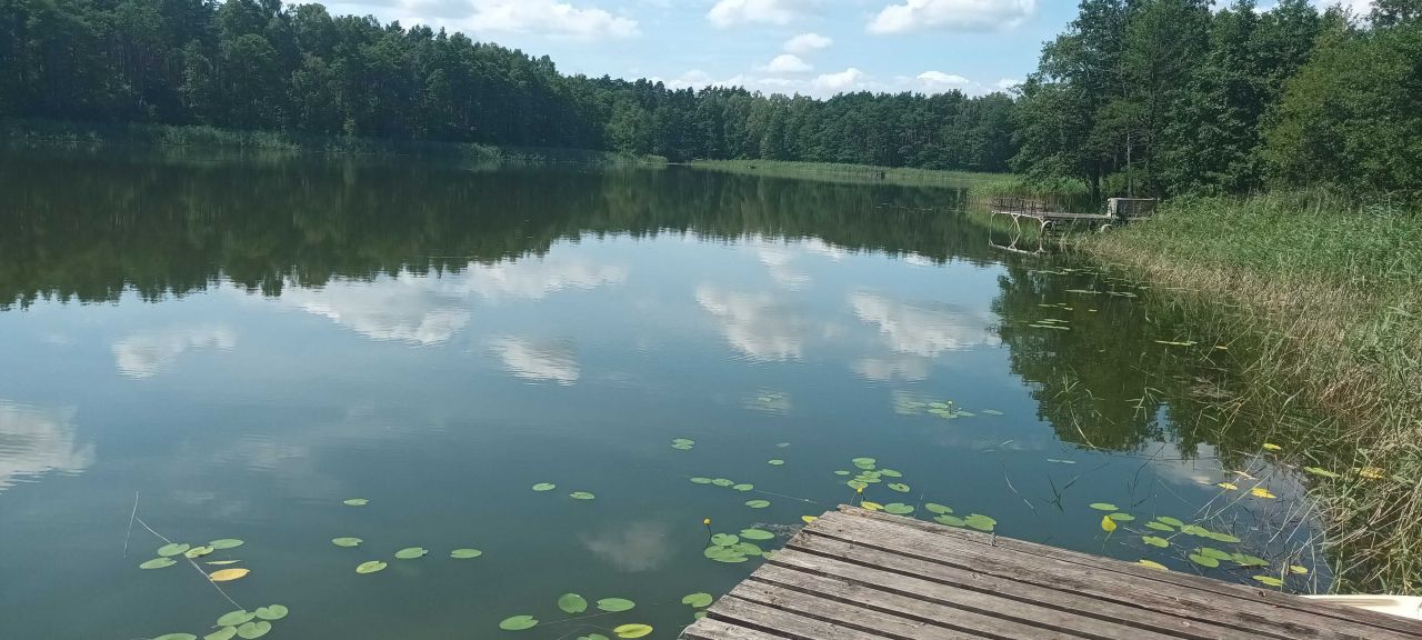 Działka rekreacyjna Łąkie. Zdjęcie 4