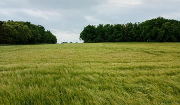 Działka rolna Giżyn