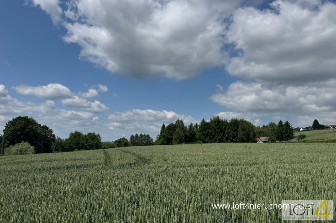Działka budowlana Tuchów. Zdjęcie 9