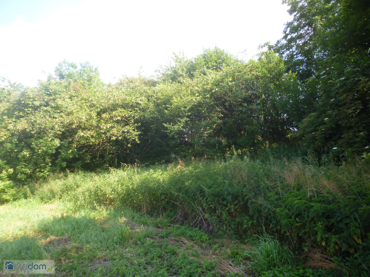 Działka budowlana Jarosław, ul. prof. Tadeusza Broniewskiego. Zdjęcie 5