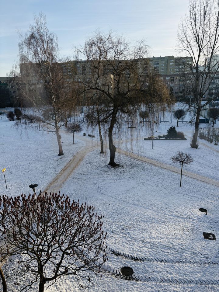 Mieszkanie 2-pokojowe Tychy Centrum, ul. Moniuszki. Zdjęcie 6