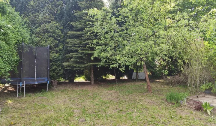 Działka rod Kraków Płaszów, ul. Golikówka
