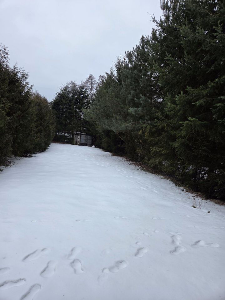 dom wolnostojący, 7 pokoi Strączno. Zdjęcie 71