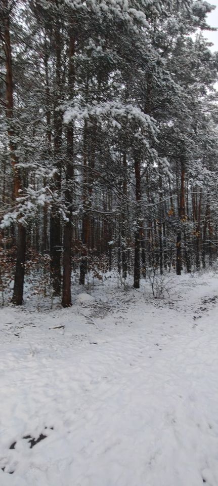 Działka rekreacyjna Cyganówka. Zdjęcie 3