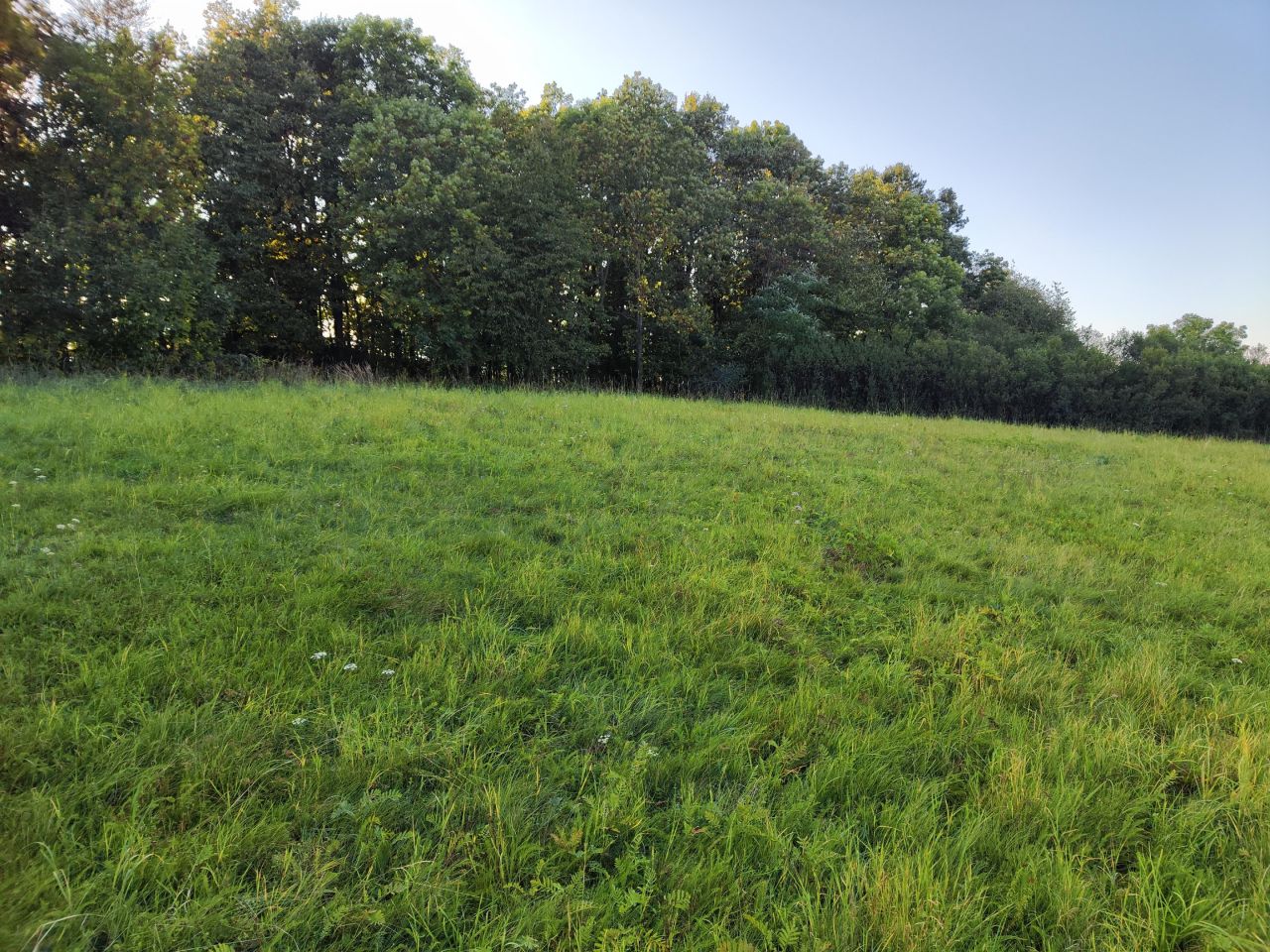 Działka budowlana Myślinów. Zdjęcie 3