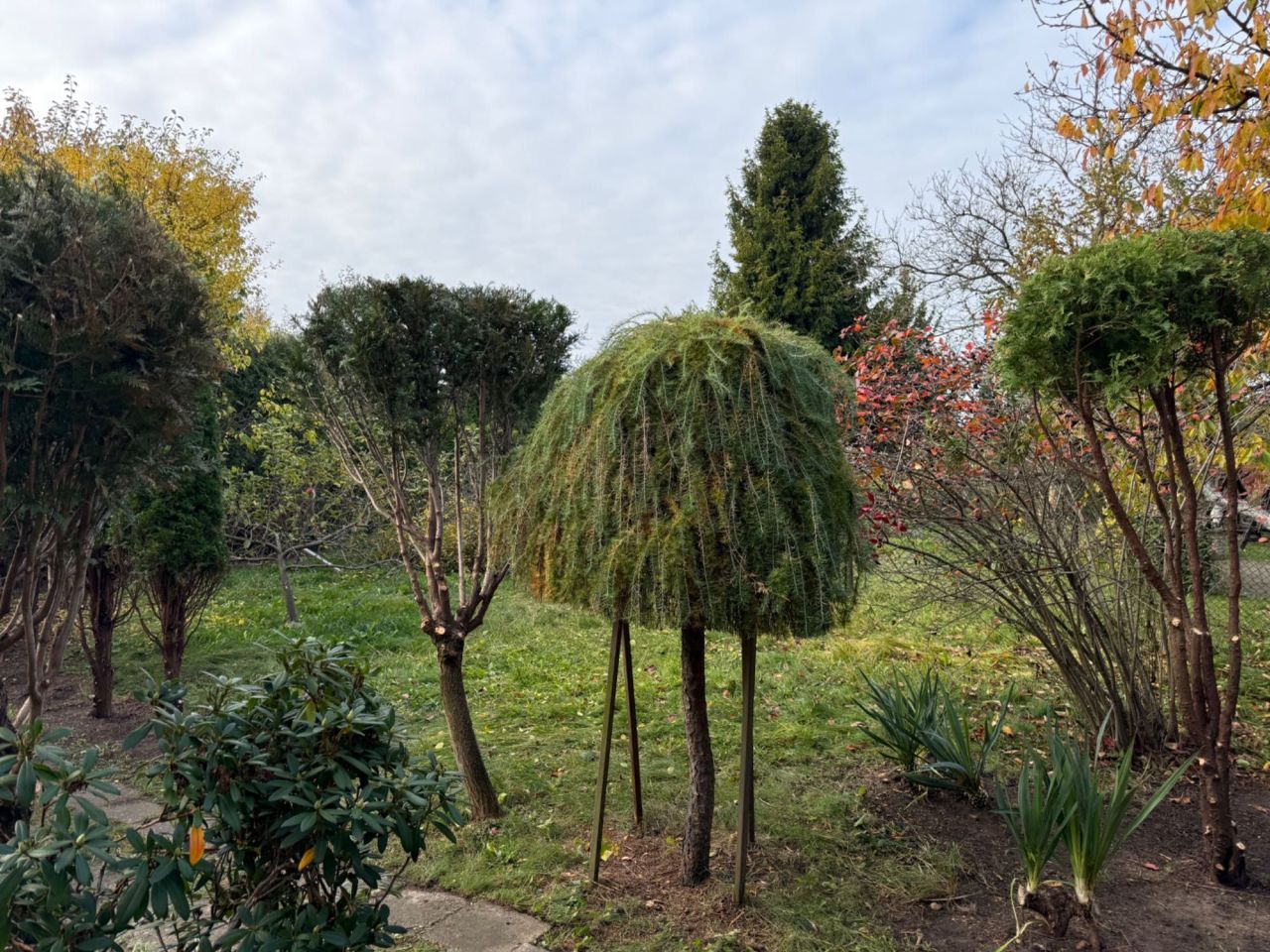 Działka rod Częstochowa Błeszno. Zdjęcie 6