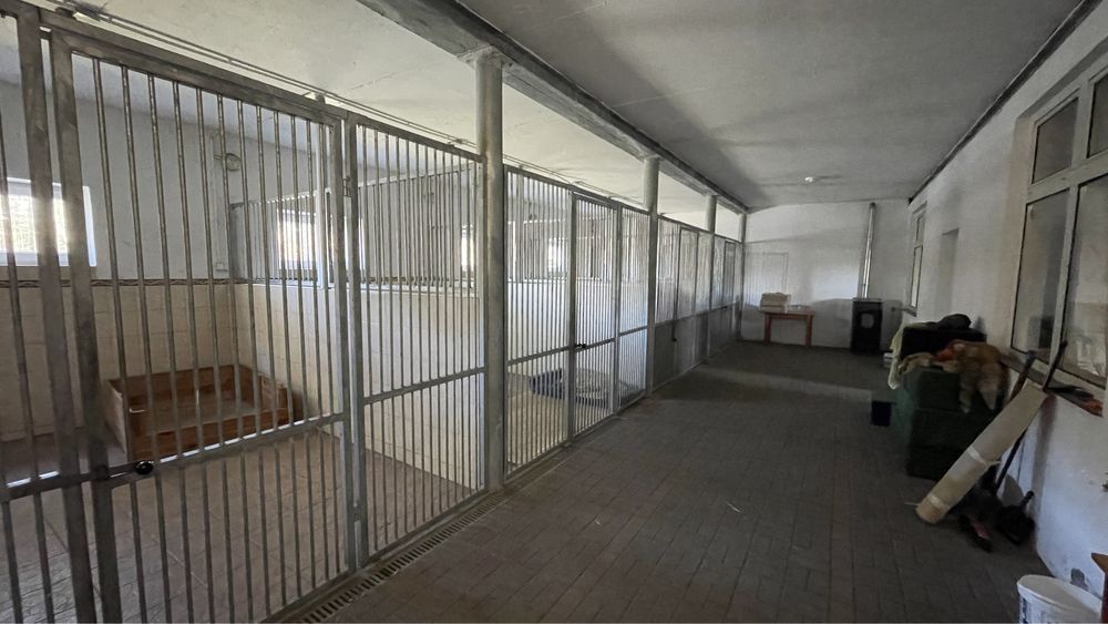 Działka inwestycyjna Brzeszczki Duże. Zdjęcie 6