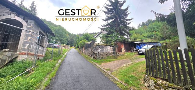 dom wolnostojący, 6 pokoi Pieszyce Lasocin, Lasocin. Zdjęcie 19