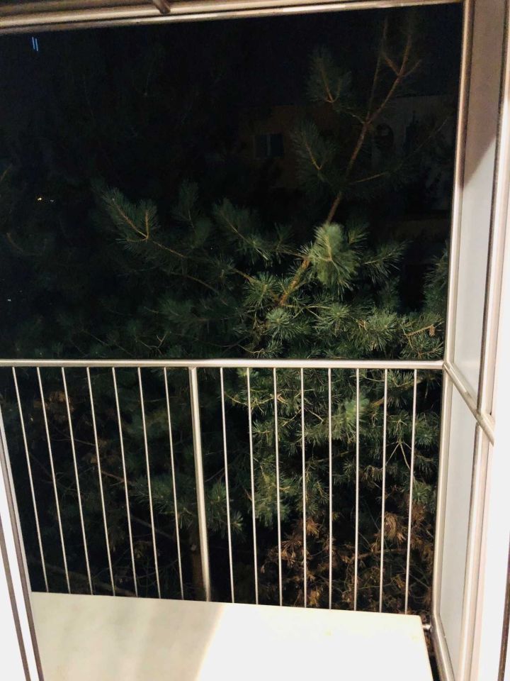 Mieszkanie 2-pokojowe Wrocław Nowy Dwór, ul. Rogowska. Zdjęcie 8
