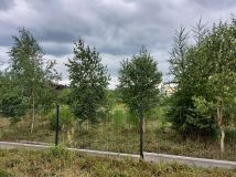 Działka budowlana Mosina, Bławatkowa. Zdjęcie 4