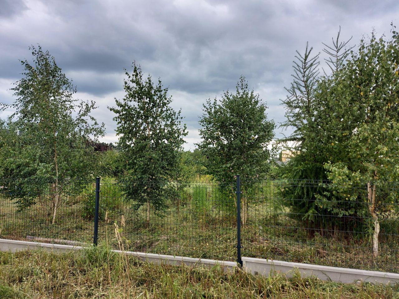 Działka budowlana Mosina, Bławatkowa. Zdjęcie 5