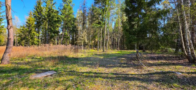 Działka budowlana Czarny Las. Zdjęcie 5
