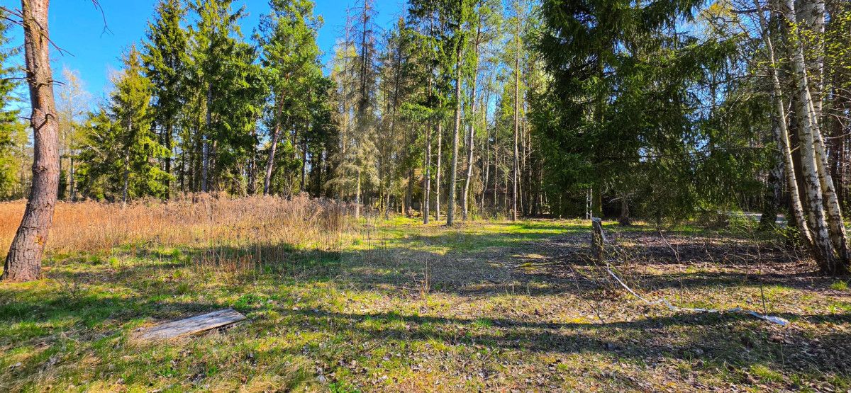 Działka budowlana Janinów. Zdjęcie 5