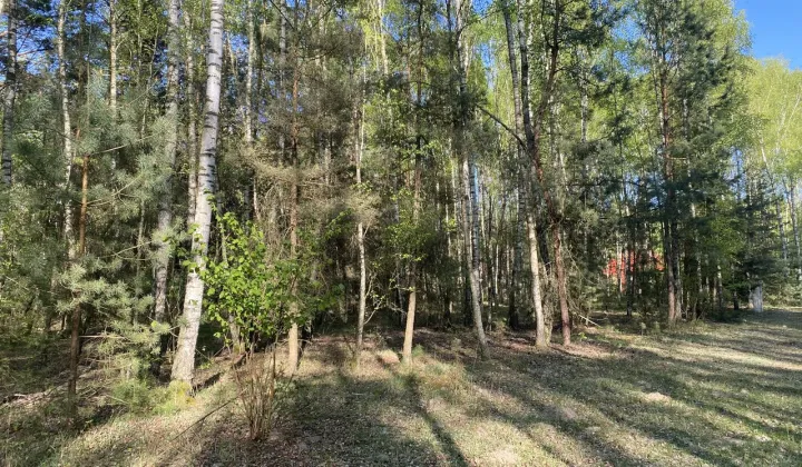 Działka budowlana Skórka