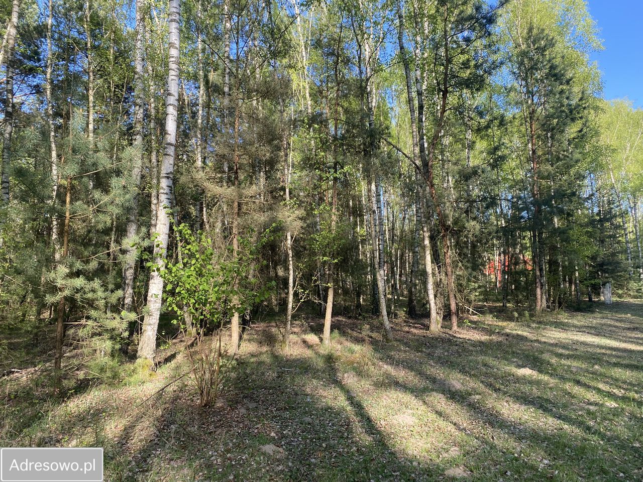 Działka budowlana Skórka. Zdjęcie 1