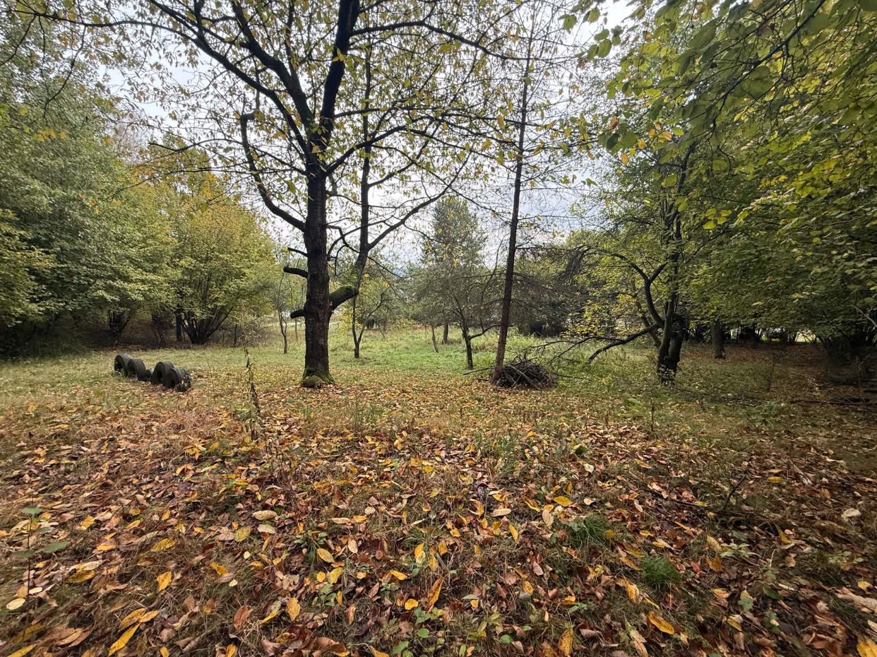 Działka rolna Chrzanów Kąty, ul. Bracka. Zdjęcie 6