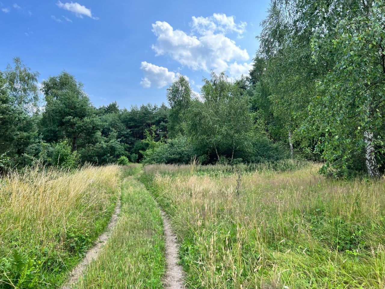 Działka rolna Trzebule. Zdjęcie 5