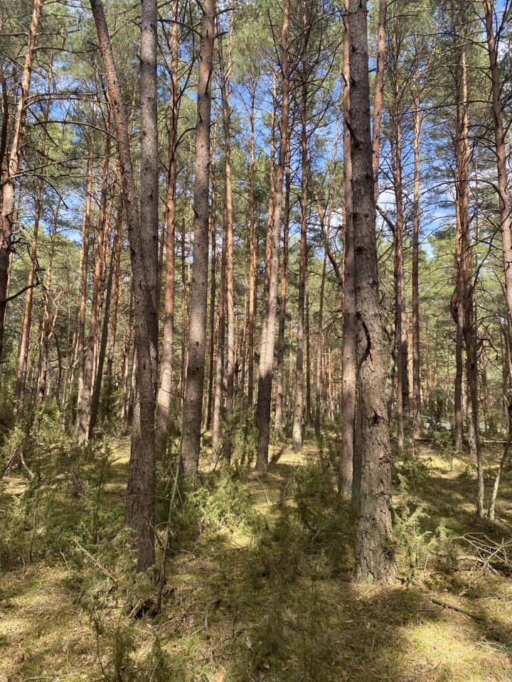 Działka rekreacyjna Popowo-Letnisko, ul. Chmielna. Zdjęcie 6