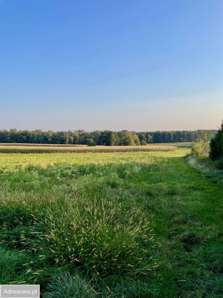 Działka budowlana Radostowice, ul. Graniczna. Zdjęcie 3