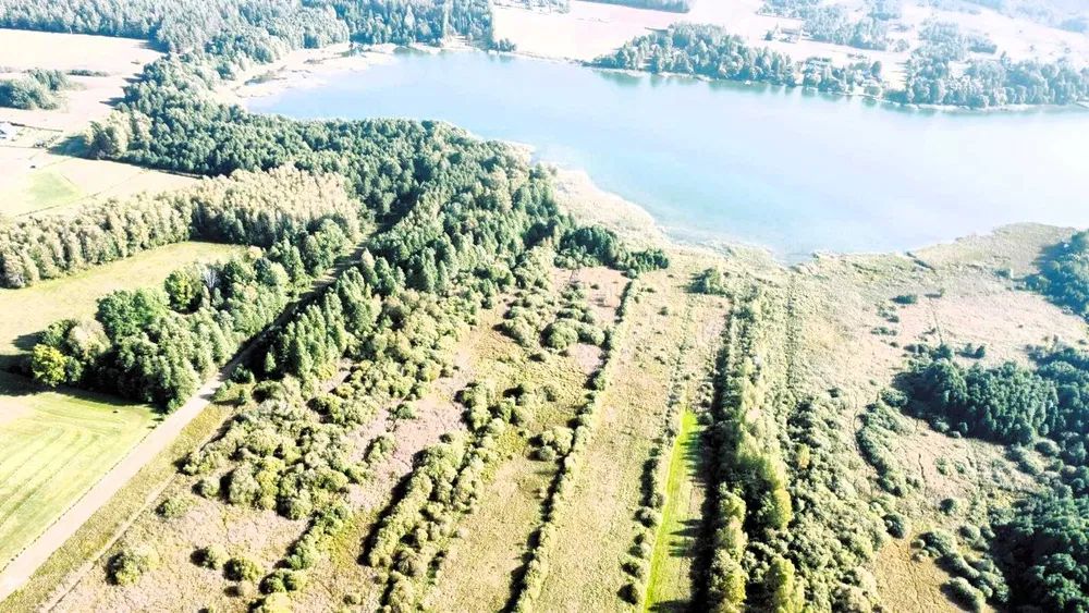 Działka rolno-budowlana Serski Las. Zdjęcie 3