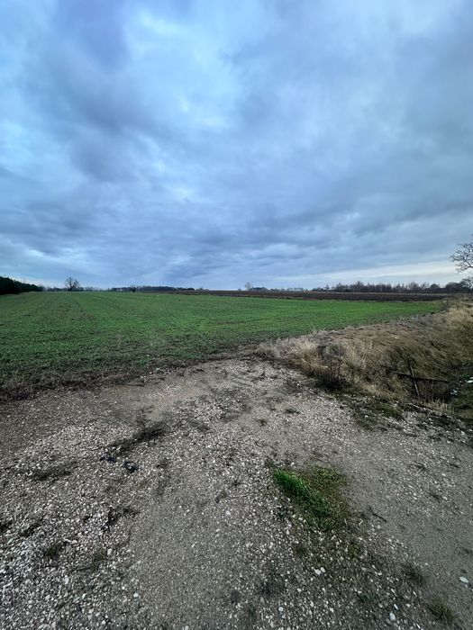 Działka inwestycyjna Dębowa Góra. Zdjęcie 5