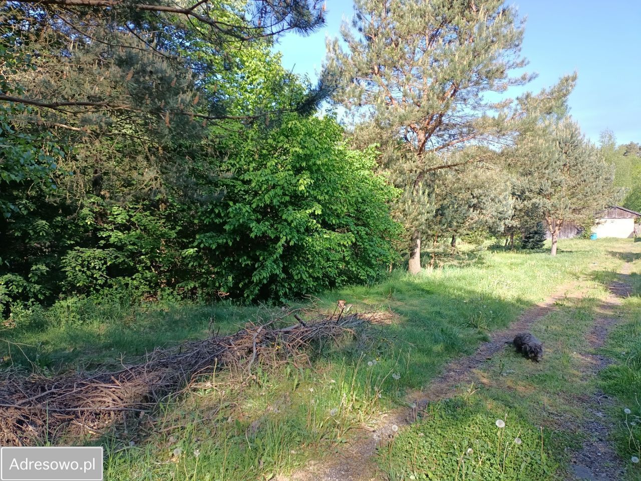 Działka Stara Wieś. Zdjęcie 6