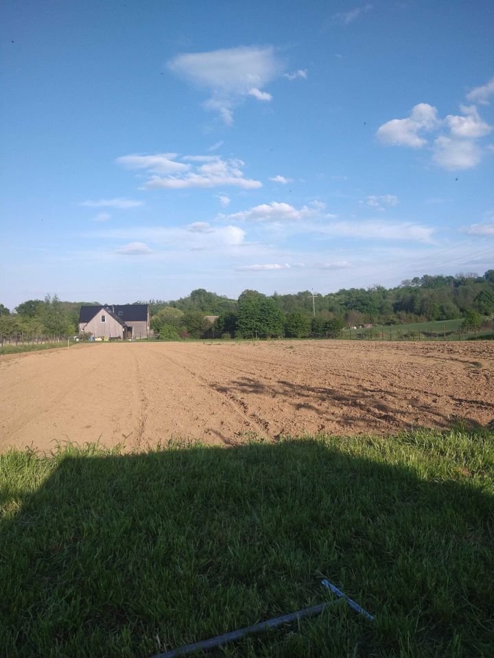 Działka siedliskowa Radłów. Zdjęcie 5