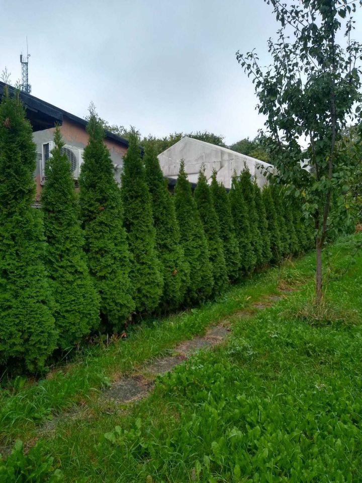 bliźniak Piotrków Trybunalski Śródmieście, ul. Gabriela Narutowicza. Zdjęcie 3