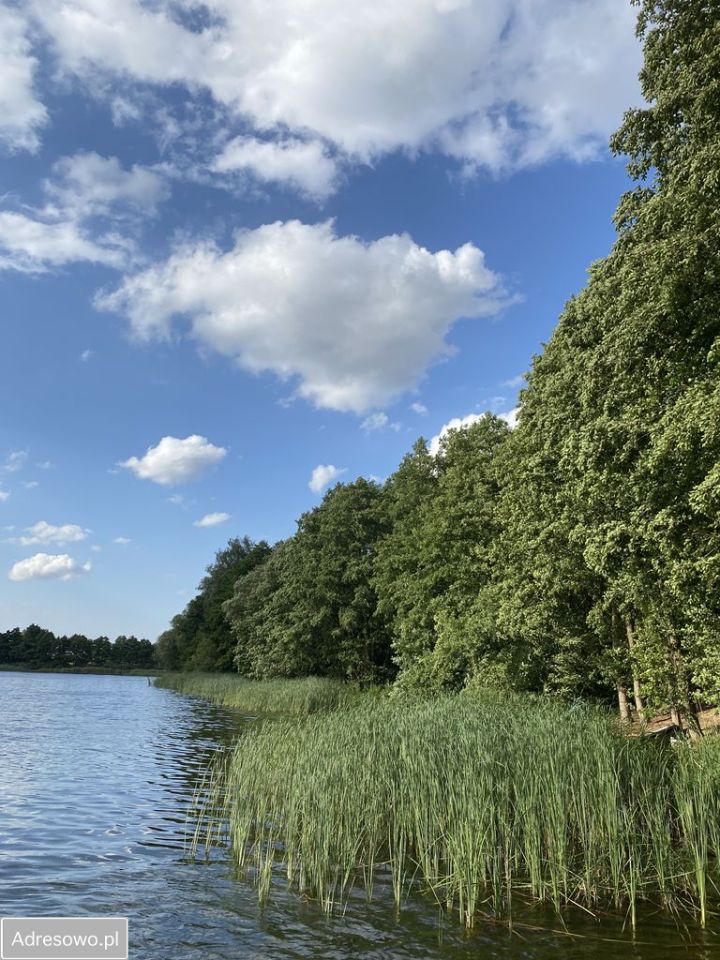 dom wolnostojący, 3 pokoje Skubarczewo. Zdjęcie 4