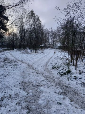 Działka budowlana Falęcice. Zdjęcie 1