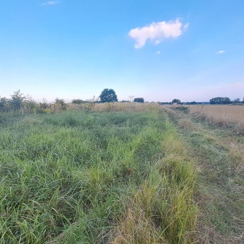 Działka budowlana Pozowice. Zdjęcie 1