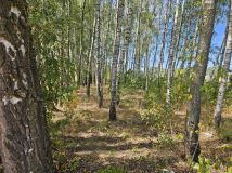 Działka budowlana Stara Wieś. Zdjęcie 4