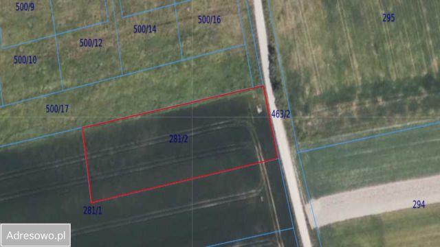 Działka inwestycyjna Krzywa. Zdjęcie 1