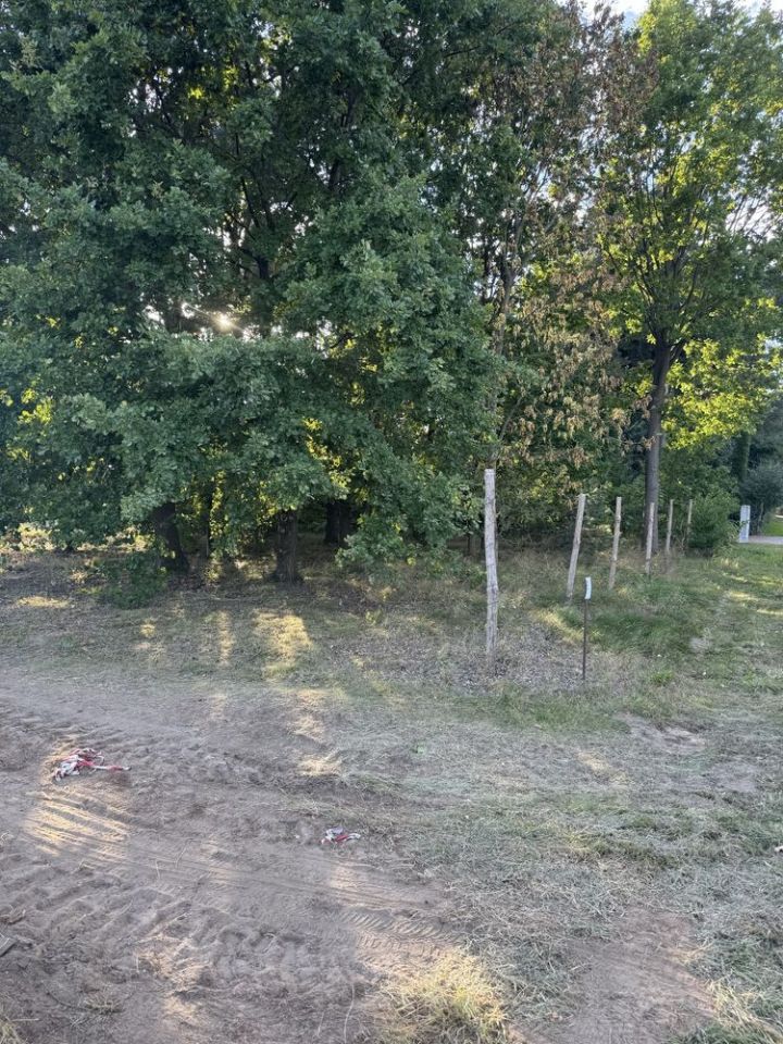 Działka budowlana Głogowo. Zdjęcie 6