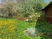 Działka rolno-budowlana Łopiennik Górny