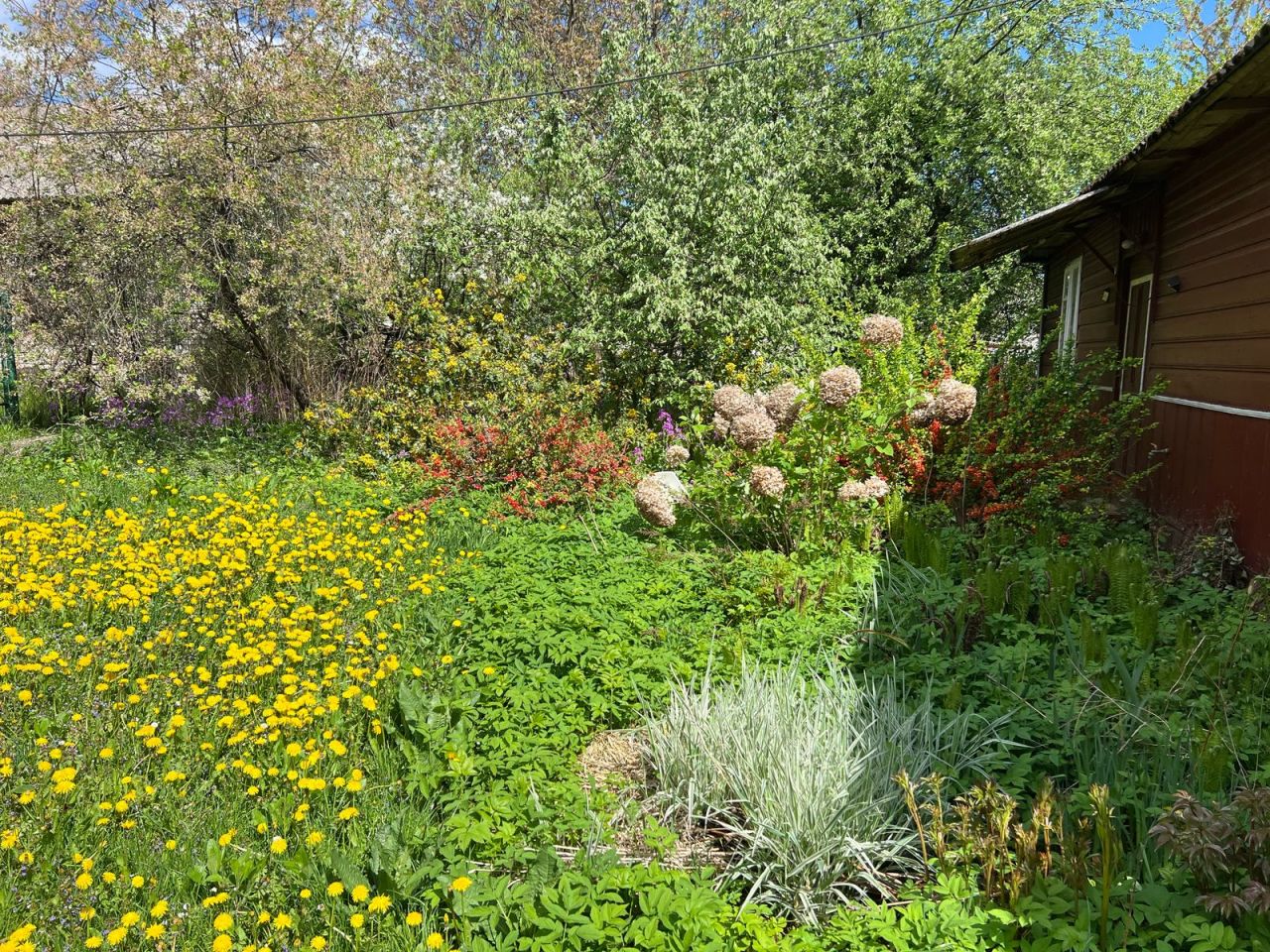 Działka rolno-budowlana Łopiennik Górny