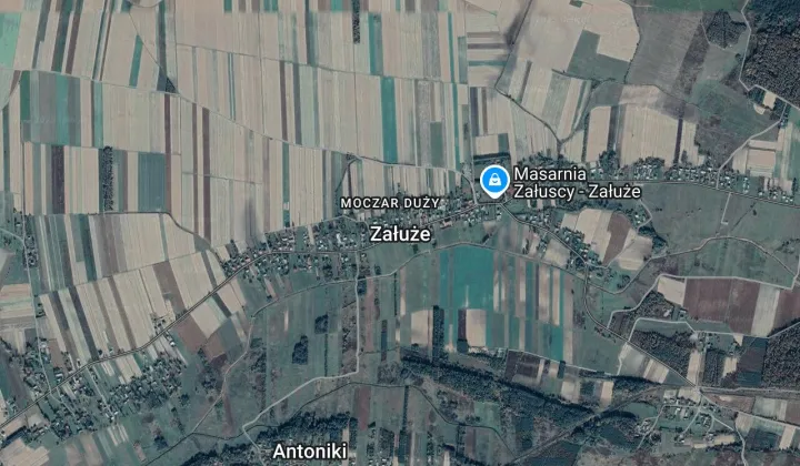 Działka leśna Załuże