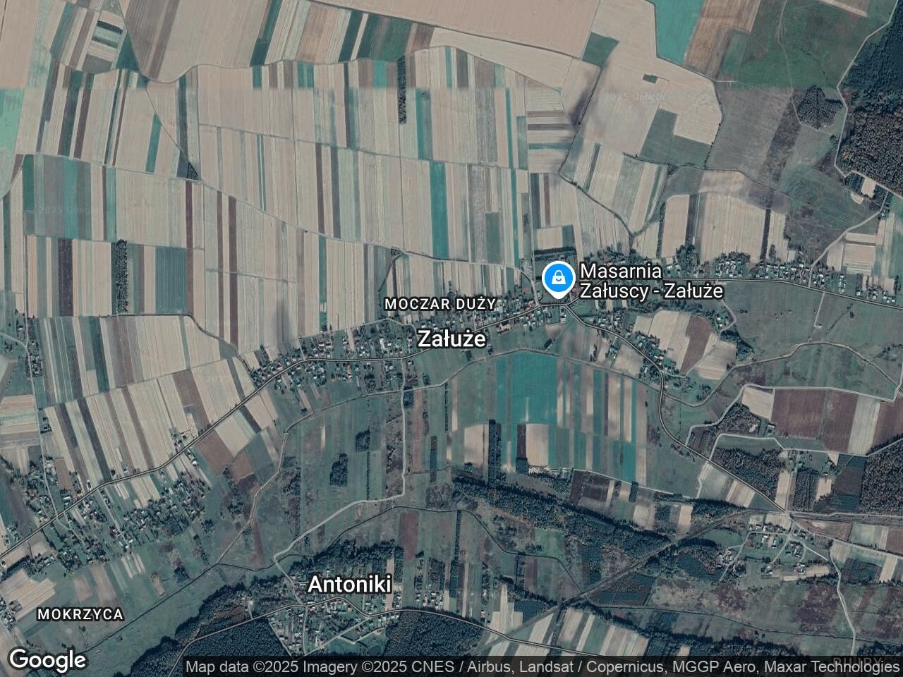 Działka leśna Załuże