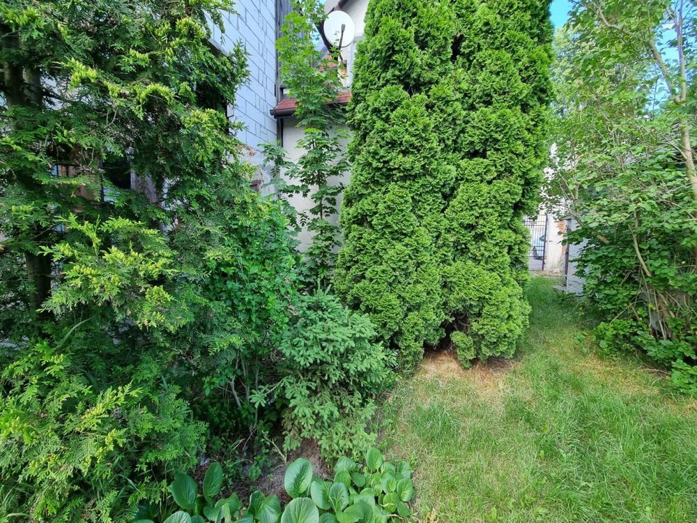 dom wolnostojący Biała Rawska, pl. Kościelny. Zdjęcie 6