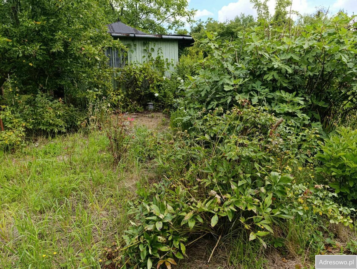 Działka rod Warszawa Włochy. Zdjęcie 4