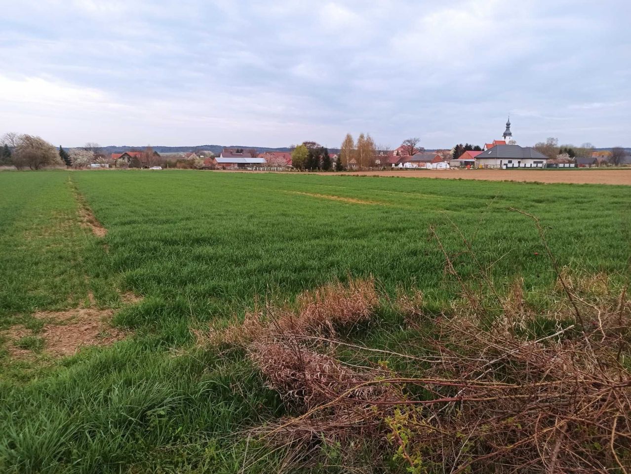 Działka budowlana Kwielice. Zdjęcie 5