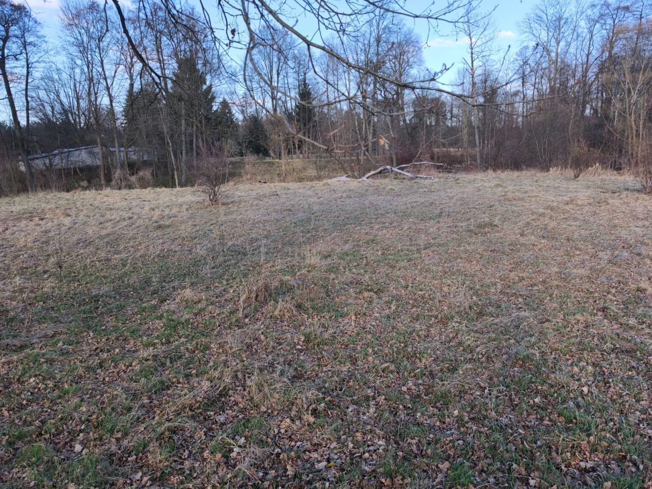 Działka rekreacyjna Rządza, Złota. Zdjęcie 8