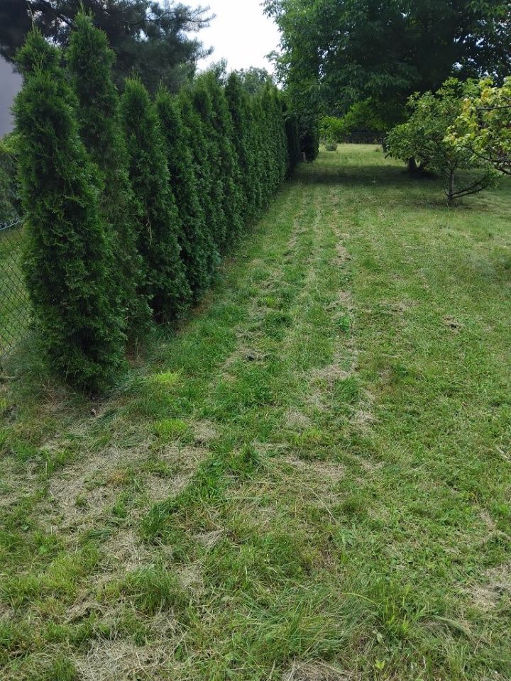 Działka rod Styrzyniec. Zdjęcie 3